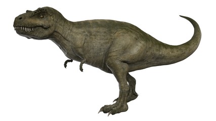 3d rendered t-rex tyrannosaurus rex
