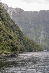 Fototapeta premium vegetation and cliffs at fjord shore, Milford Sound, New Zealand