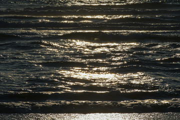 Silver Waves of the Pacific. 