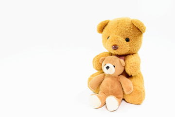 Two teddy bears on a white background