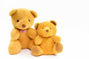 Obraz premium Two teddy bears on a white background