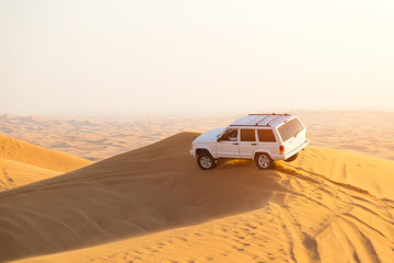 Fototapeta na wymiar Desert Rally Sports Race. Sand cloud Sports rally in sand dunes of the desert