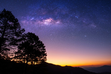 Landscape with Milky Way. Night sky with stars and some tree on the mountain.