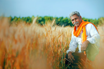Young indian farmer at wheat field