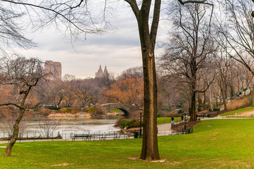 Winter colors in Central Park in New York, USA