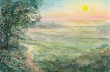 Watercolor landscape. The little colt surprise encounters a new miracle birth of a summer day