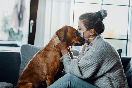 Woman wearing a protective face mask cuddles, plays with her dog at home because of the corona virus pandemic covid-19