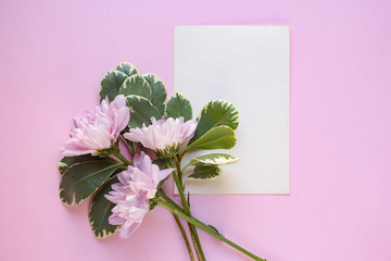 card mockup on white table with chrysanthemums. flowers. flat lay