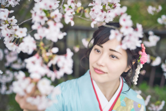 601 Best 大和撫子images Stock Photos Vectors Adobe Stock 601 Best 大和撫子images Stock Photos Vectors Adobe Stock