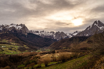 Vol vautours cirque lescun pyrenées