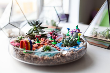 Florarium with succulents in a glass vase, a beautiful home decoration