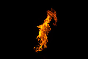 Bright fire on a black background. Hot flames background