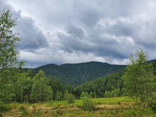 A beautiful scenery of Carpathian mountains with small houses, trees, fields, and roads in the summertime.