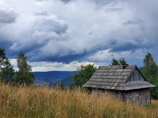 An old house in the Carpathian mountains among trees in the summertime.