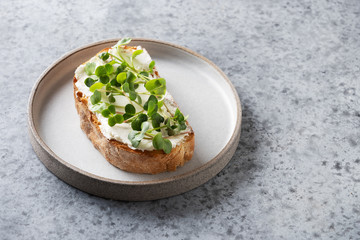 Sandwich on toast with fresh radish microgreen and cream cheese on grey background. Close up.