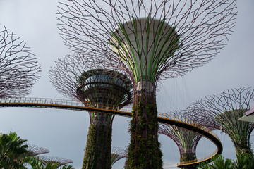 Botanic Gargen, Singapur	