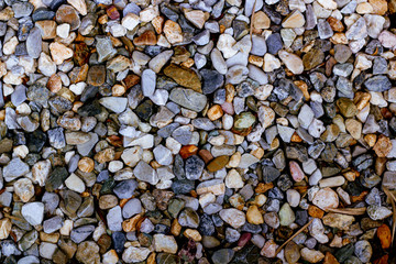 abstract background with dry round reeble stones