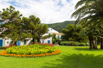 Obraz premium Beautiful landscapes of Montenegro. Tropical trees combined with old and modern architecture. Travel by Budva and Kotorsk.