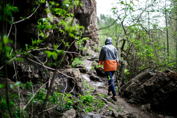Naklejka na ściany i meble woman traveler in a gray-orange jacket with a hood and blue jeans walks along the rocks through the trees. outdoor activity concept