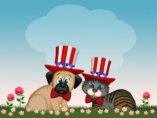 dog and cat celebrate Independence day