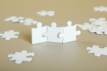 puzzle pieces on the table
