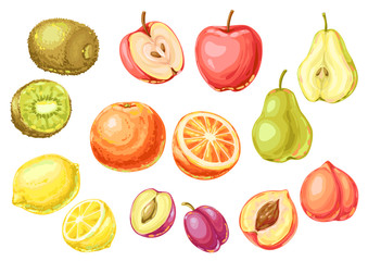 Set of ripe fruits. Tropical vegetarian food illustration.