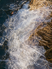 abstract background with dry grass, thin ice and water textures