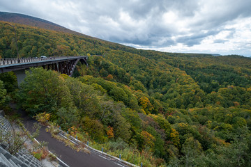 Suburb of japan After the epidemic crisis COVID-19,or Corona Viruses.