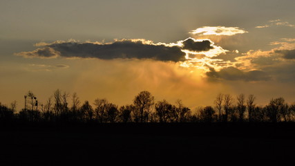 Evening clouds over the trees