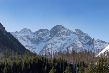 Obraz premium Hiking train to Morskie Oko from Zakopane (Poland)