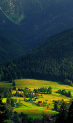 Fototapety na wymiar - Fototapeta24.pl