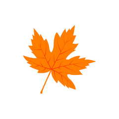 Naklejka premium maple leaf icon logo design vector