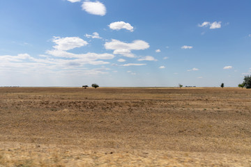 Obraz premium landscape of the steppe and blue sky