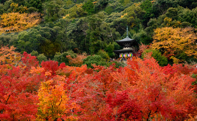 Eikando temple foliage in Kyoto, Japan.