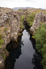 Vulkangestein in Island