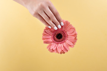 woman hands with manicure and wedding ring among white lace and little flowers