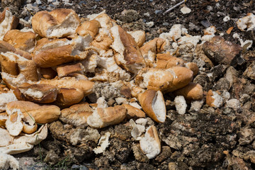 Loafs of old baguette bread are thrown into a landfill in Turkey's Istanbul neighborhood.