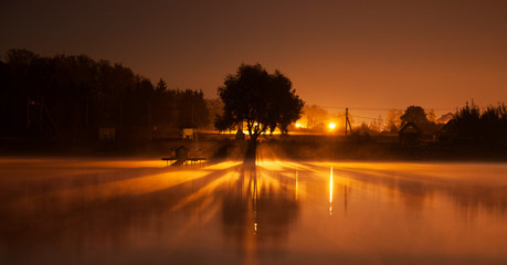 Fototapeta premium tree silhouette. night on the river