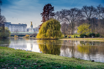 fountain in park