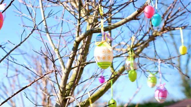 Baum ist mit Ostereiern zu Ostern bunt dekoriert