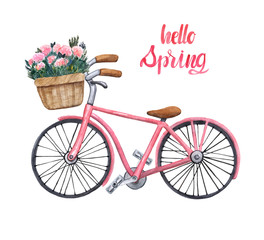 Summer romantic illustration with pink bicycle, isolated on white background. Beautiful hand painted beach cruiser with pretty flowers in a basket.