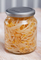 Glass jar of sprouted mung beans