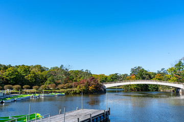 Onuma Quasi-National Park. Sunny day scenery landscape. Oshima Subprefecture, Town Nanae. Hokkaido, Japan