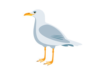 Fototapeta premium Seagull bird icon vector. Seagull isolated on a white backgound. Standing seagull clip art. Gull vector illustration