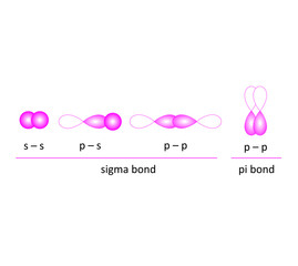  pi and sigma bond vector