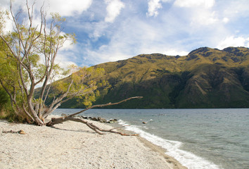Lake Wanaka, South Island, New Zealand, at the morning light