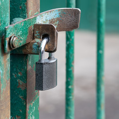 Closed and locked door grill with silver padlock.