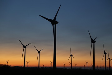Fototapeta premium Windräder an der Nordseeküste bei Sonnenuntergang