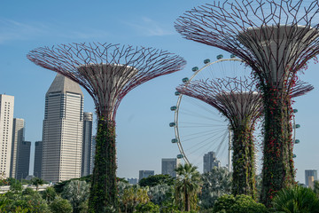 Botanic Gargen, Singapur	
