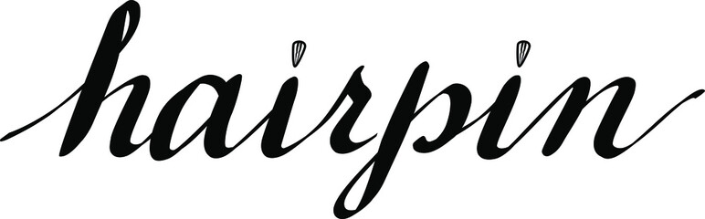 Beautiful inscription of the word hairpin. Lettering of the word hair clip in black.